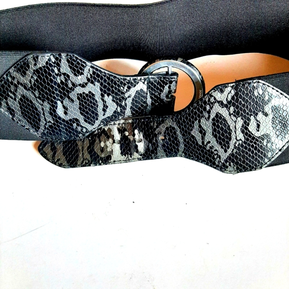 Express Ladies Belt - Picture 3 of 7